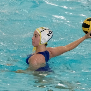 Fundraising Page: Sarah Demas